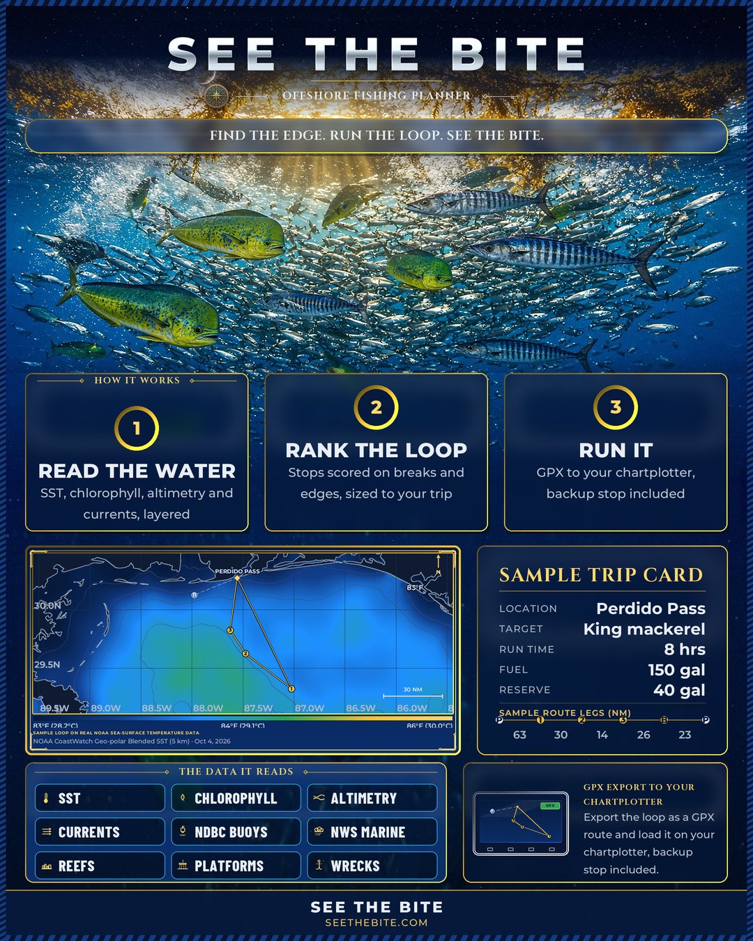 See The Bite — offshore fishing planner, coming soon